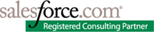 Salesforce Consulting Partner